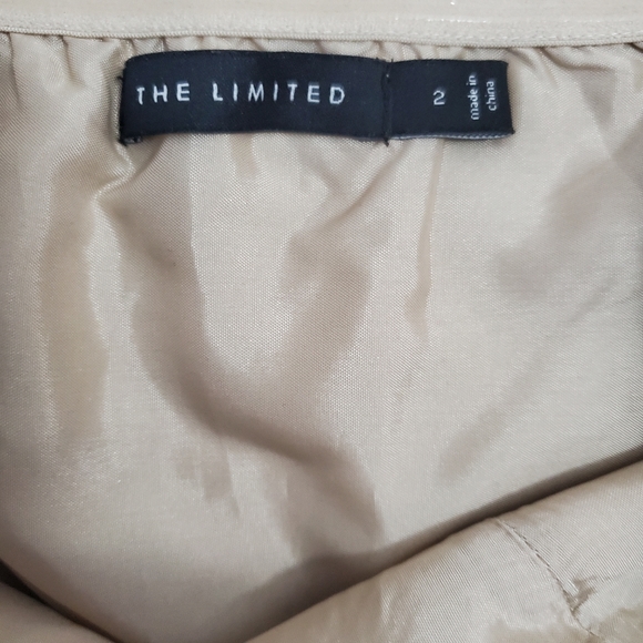 The Limited Strapless Dress - Picture 5 of 5